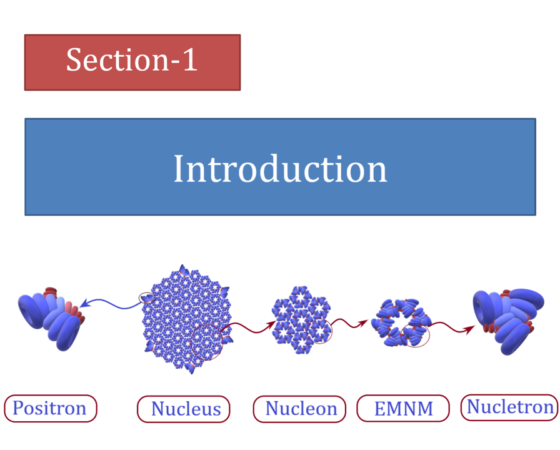 Introduction: Nucleus